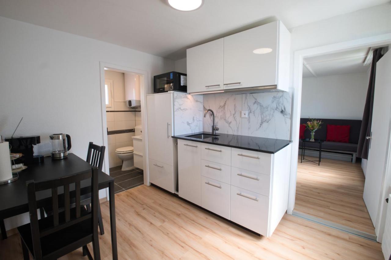 Lake Getaway Apartment With Private Entrance, Right On The Lake Constance Cycle Path, Barbecue Area, Free Wifi, Netflix And Free Bikes Salmsach Екстер'єр фото